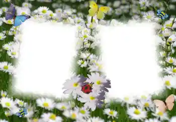 PhotoEffect da categoria Molduras para fotografias femininas № 49398