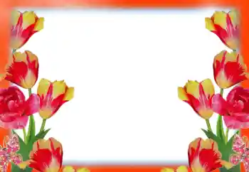 PhotoEffect da categoria Molduras para fotografias femininas № 49414
