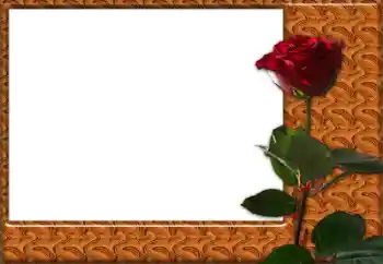 PhotoEffect da categoria Molduras para fotografias femininas № 49427