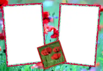 PhotoEffect da categoria Molduras para fotografias femininas № 49428