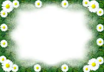 PhotoEffect da categoria Molduras para fotografias femininas № 49443 PhotoEffect da categoria Molduras para fotografias femininas № 49443