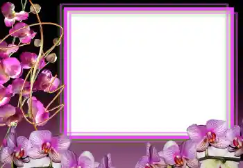 PhotoEffect da categoria Molduras para fotografias femininas № 50856 PhotoEffect da categoria Molduras para fotografias femininas № 50856