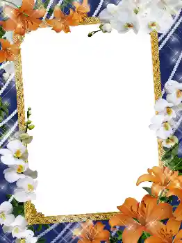 PhotoEffect da categoria Molduras para fotografias femininas № 5141 PhotoEffect da categoria Molduras para fotografias femininas № 5141