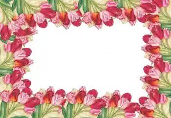 PhotoEffect da categoria Molduras para fotografias femininas № 52090
