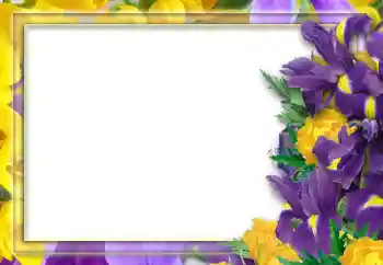 PhotoEffect da categoria Molduras para fotografias femininas № 52253