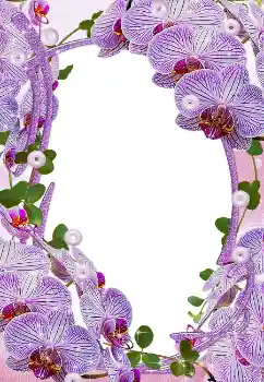 PhotoEffect da categoria Molduras para fotografias femininas № 5465