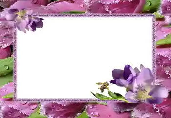 PhotoEffect da categoria Molduras para fotografias femininas № 5506