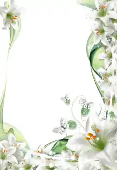PhotoEffect da categoria Molduras para fotografias femininas № 5542