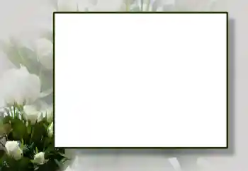 PhotoEffect da categoria Molduras para fotografias femininas № 55444