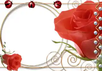PhotoEffect da categoria Molduras para fotografias femininas № 55521