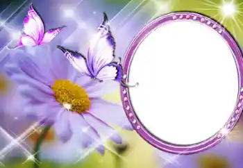 PhotoEffect da categoria Molduras para fotografias femininas № 60196 PhotoEffect da categoria Molduras para fotografias femininas № 60196