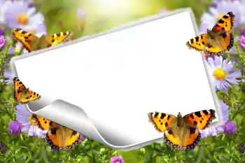 PhotoEffect da categoria Molduras para fotografias femininas № 63986