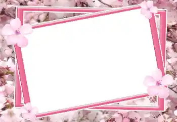 PhotoEffect da categoria Molduras para fotografias femininas № 64115