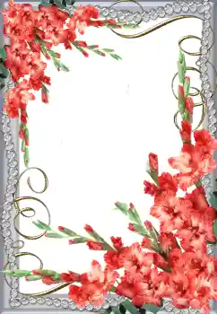 PhotoEffect da categoria Molduras para fotografias femininas № 64491
