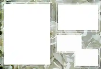 PhotoEffect da categoria Molduras para fotografias femininas № 65658