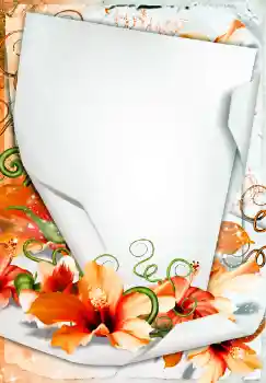 PhotoEffect da categoria Molduras para fotografias femininas № 68450