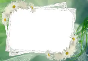 PhotoEffect da categoria Molduras para fotografias femininas № 68583