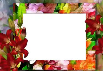 PhotoEffect da categoria Molduras para fotografias femininas № 68619