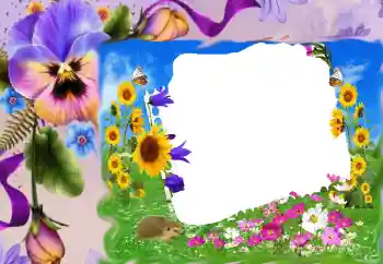PhotoEffect da categoria Molduras para fotografias femininas № 68630