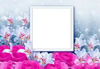 PhotoEffect da categoria Molduras para fotografias femininas № 68646