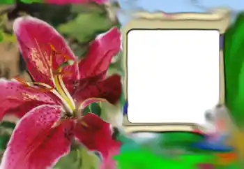 PhotoEffect da categoria Molduras para fotografias femininas № 69843