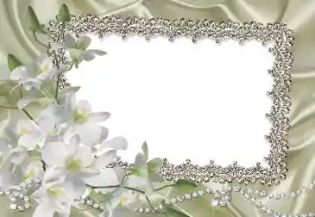 PhotoEffect da categoria Molduras para fotografias femininas № 69861