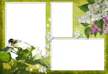 PhotoEffect da categoria Molduras para fotografias femininas № 70903