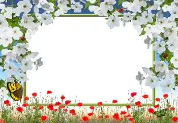 PhotoEffect da categoria Molduras para fotografias femininas № 72133