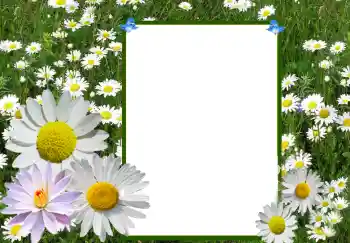 PhotoEffect da categoria Molduras para fotografias femininas № 72360