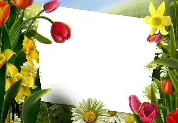 PhotoEffect da categoria Molduras para fotografias femininas № 73530