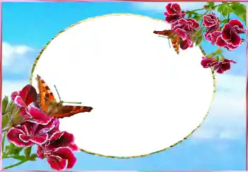 PhotoEffect da categoria Molduras para fotografias femininas № 73784