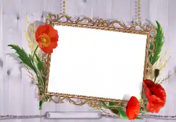 PhotoEffect da categoria Molduras para fotografias femininas № 7499 PhotoEffect da categoria Molduras para fotografias femininas № 7499