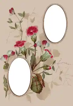 PhotoEffect da categoria Molduras para fotografias femininas № 78920