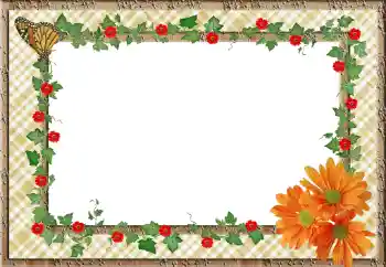PhotoEffect da categoria Molduras para fotografias femininas № 78981