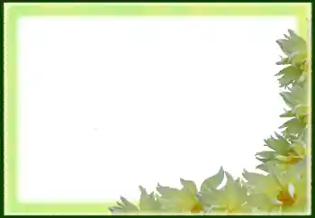 PhotoEffect da categoria Molduras para fotografias femininas № 79029