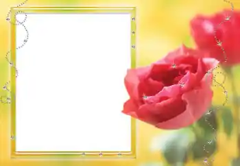 PhotoEffect da categoria Molduras para fotografias femininas № 80125