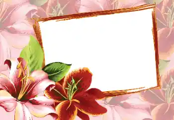 PhotoEffect da categoria Molduras para fotografias femininas № 80320