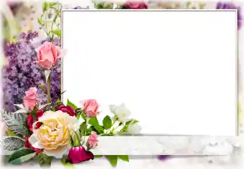 PhotoEffect da categoria Molduras para fotografias femininas № 85266 PhotoEffect da categoria Molduras para fotografias femininas № 85266