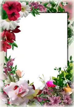 PhotoEffect da categoria Molduras para fotografias femininas № 85267 PhotoEffect da categoria Molduras para fotografias femininas № 85267