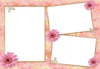 PhotoEffect da categoria Molduras para fotografias femininas № 85418