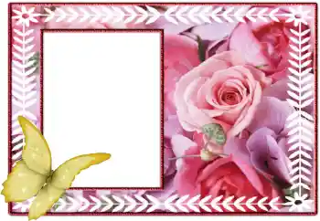 PhotoEffect da categoria Molduras para fotografias femininas № 8545 PhotoEffect da categoria Molduras para fotografias femininas № 8545