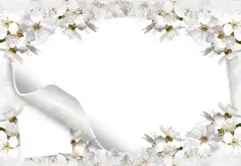 PhotoEffect da categoria Molduras para fotografias femininas № 8554 PhotoEffect da categoria Molduras para fotografias femininas № 8554