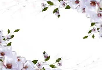 PhotoEffect da categoria Molduras para fotografias femininas № 87722