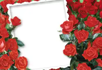 PhotoEffect da categoria Molduras para fotografias femininas № 87751