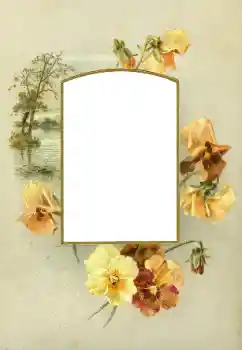 PhotoEffect da categoria Molduras para fotografias femininas № 88073