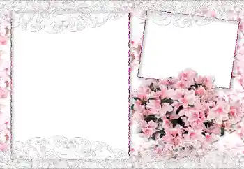 PhotoEffect da categoria Molduras para fotografias femininas № 89229