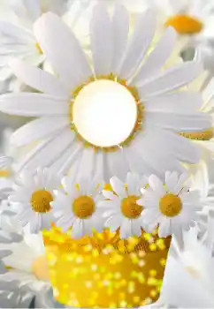 PhotoEffect da categoria Molduras para fotografias femininas № 91798