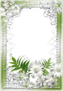PhotoEffect da categoria Molduras para fotografias femininas № 91873