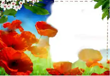 PhotoEffect da categoria Molduras para fotografias femininas № 93217