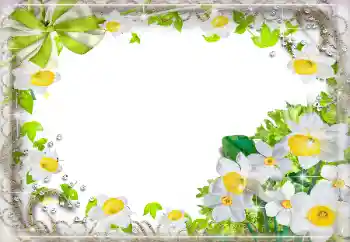 PhotoEffect da categoria Molduras para fotografias femininas № 94724 PhotoEffect da categoria Molduras para fotografias femininas № 94724